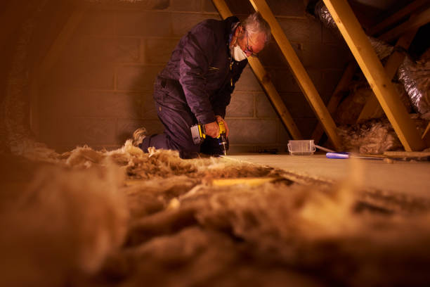 Best Insulation Installation Services in Frederick, MD
